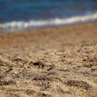 sentido orka lotus beach