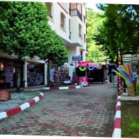 grand panorama family suite hotel (ex. club seray forest suite hotel)