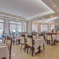hotel palmea