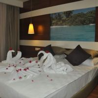holiday city hotel