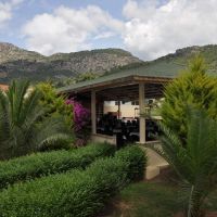 the one club hotel sarigerme