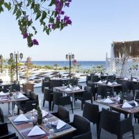 paloma oceana resort