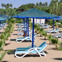 paloma oceana resort