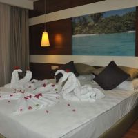 holiday city hotel