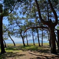 tui sensatori resort fethiye by barut hotels