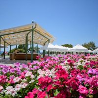 tui sensatori resort sorgun by barut hotels