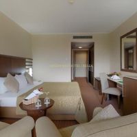 green max hotel