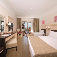 aydinbey king's palace & spa