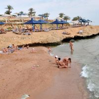 grand oasis resort