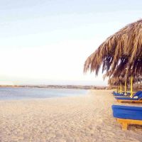 Hilton Nubian