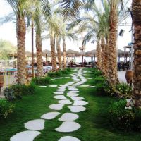 aqua joy resort by sunrise (ex. hawaii palm resort & aquapark)