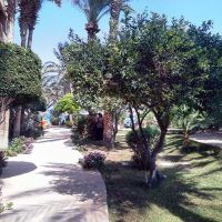Geisum Village