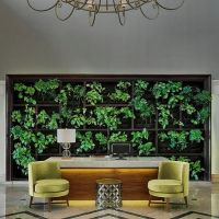 the cascades golf resort, spa & thalasso (ex.westin soma bay golf resort & spa) 5 *