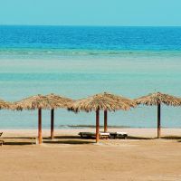 Tulip Resort Marsa Alam