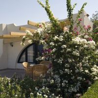 Magawish Village Resort