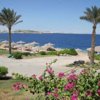 coral beach resort tiran