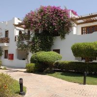 Mexicana Sharm