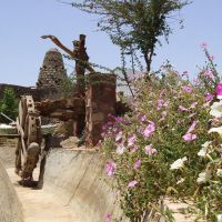 Sharm Inn Amarain