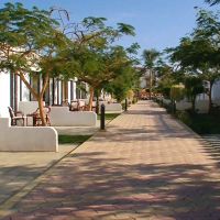 Beach Albatros Sharm El Sheikh