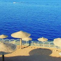 grand halomy resort (ex. regnum halomy)