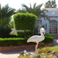 grand halomy resort (ex. regnum halomy)