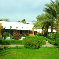 Pyramisa Sharm El Sheikh Resort  (ex. Dessole Pyramisa Sharm)