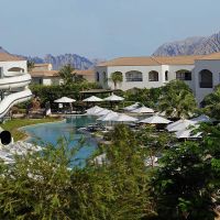 Reef Oasis Blue Bay