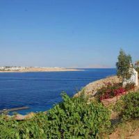 grand halomy resort (ex. regnum halomy)