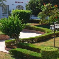 grand halomy resort (ex. regnum halomy)