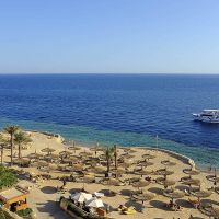 Reef Oasis Blue Bay