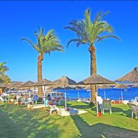 club rexene resort