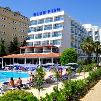 blue fish hotel
