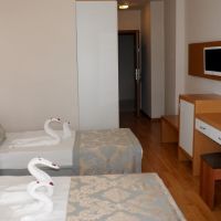 blue fish hotel
