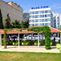 blue fish hotel