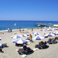 blue fish hotel