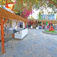 club rexene resort