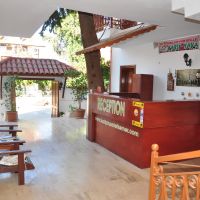 kaliptus hotel