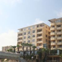 palmera kleopatra by limoncello