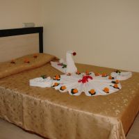 silver hotel