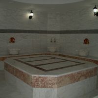 silver hotel
