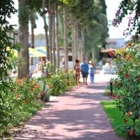 smartline bitez garden life hotel & suites