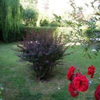 sevki bey hotel