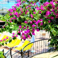 La Finca Marina