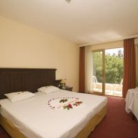 palm d'or hotel