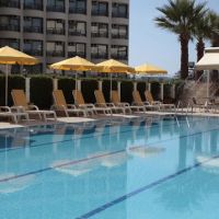 palm hotel