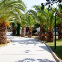 Paloma Paradise Beach