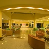 palm d'or hotel
