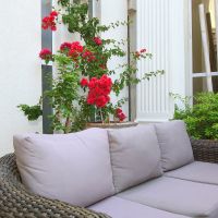 marina vista bodrum
