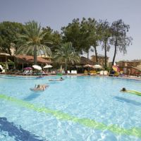 palm d'or hotel