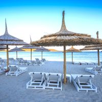 premier solto by corendon